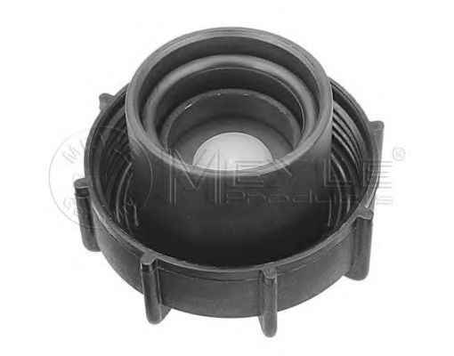 buson,vas expansiune 2