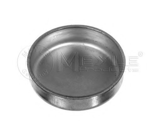 100 103 0016 Dop antianghet MEYLE 