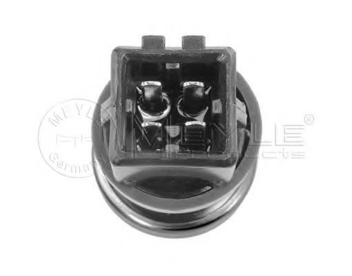 senzor,temperatura lichid de racire 2
