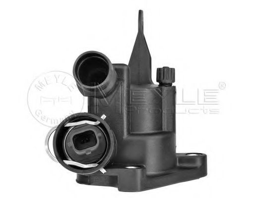 termostat,lichid racire 2