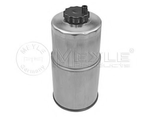 filtru combustibil 2