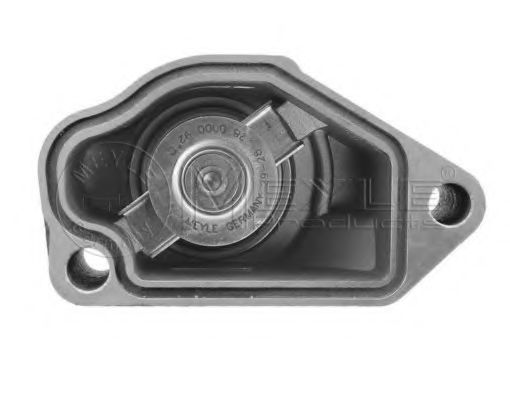 termostat,lichid racire 2