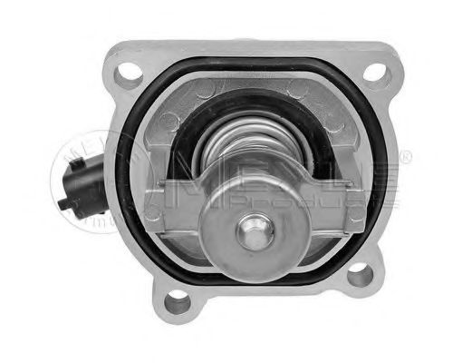 termostat,lichid racire 2