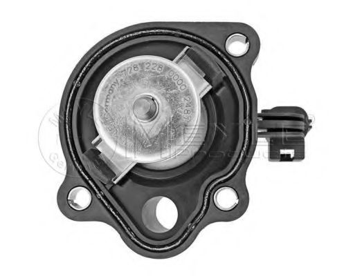 termostat,lichid racire 2