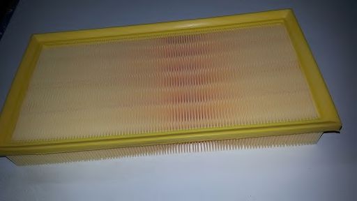 BSP20648 Filtru aer BUGIAD 