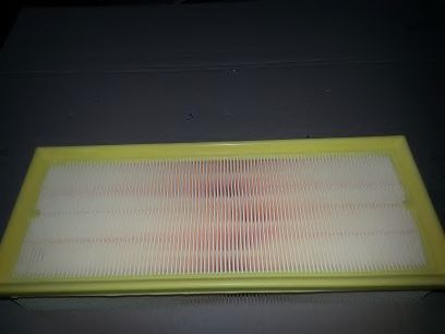 BSP20663 Filtru aer BUGIAD 