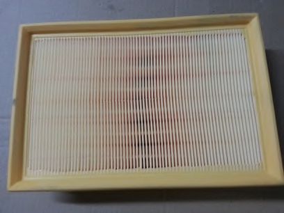 BSP20916 Filtru aer BUGIAD 