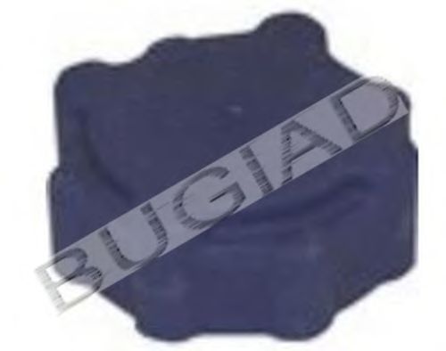 BSP21157 buson,vas expansiune BUGIAD 