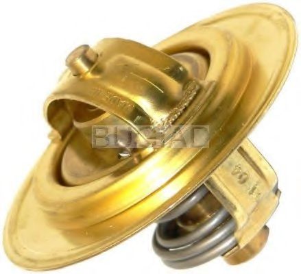 BSP21329 termostat,lichid racire BUGIAD 
