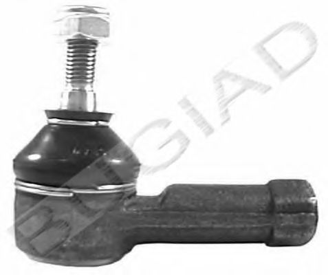 BSP21751 Cap de bara BUGIAD 