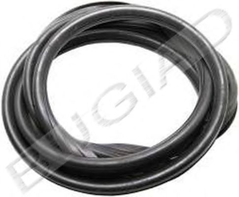 BSP21830 Garnitura, parbriz BUGIAD 