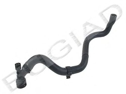 BSP21834 Furtun radiator BUGIAD 