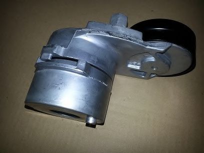 BSP22219 intinzator,curea transmisie BUGIAD 