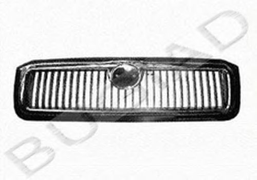 BSP22247 Grila radiator BUGIAD 