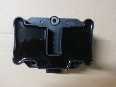 BSP22365 bobina de inductie BUGIAD 