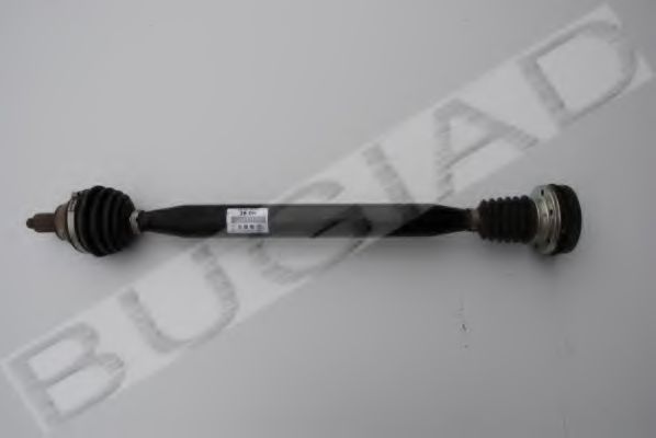 BSP22595 Planetara BUGIAD 