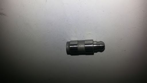 BSP23008 culbutor supapa BUGIAD 