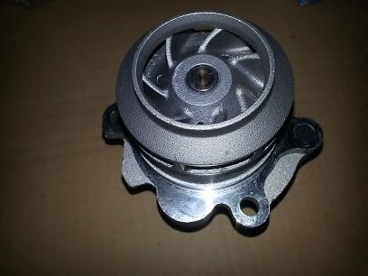BSP23205 pompa apa BUGIAD 