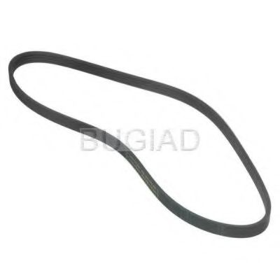 BSP23318 Curea transmisie cu caneluri BUGIAD 