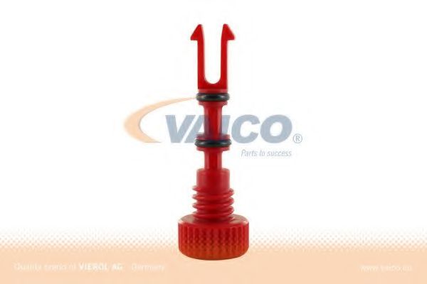 Surub, buson radiator