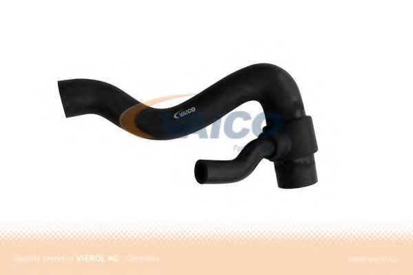 V30-1951 Furtun radiator VAICO 