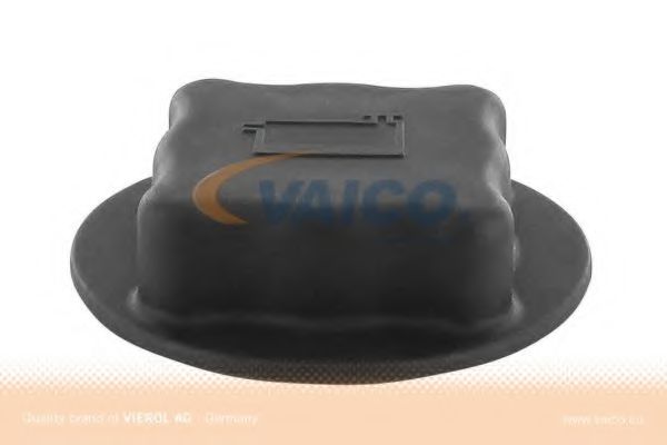 V95-0267 buson,vas expansiune VAICO 