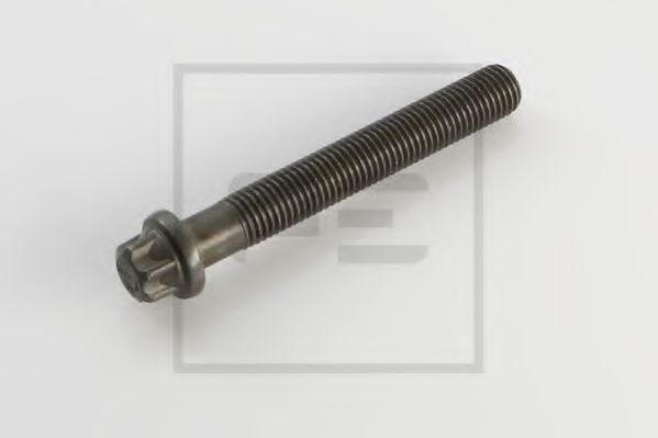 030.069-00A surub chiulasa PE Automotive 
