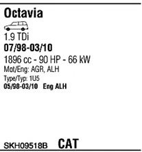 Sistem de esapament 2