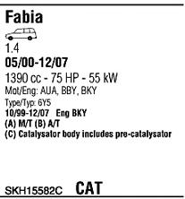 Sistem de esapament 2