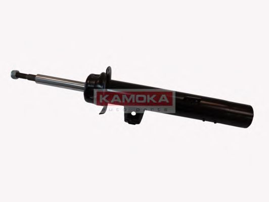 amortizor