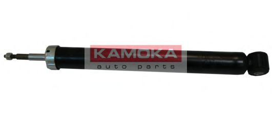 amortizor