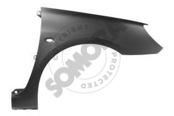 220701 Aripa SOMORA 