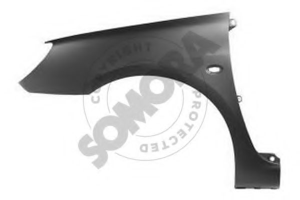 220702 Aripa SOMORA 
