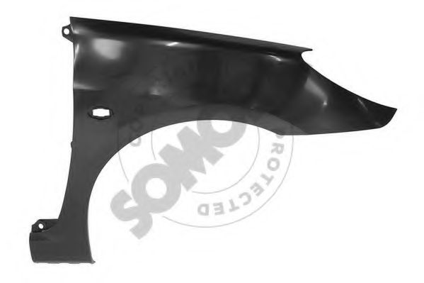 220801 Aripa SOMORA 