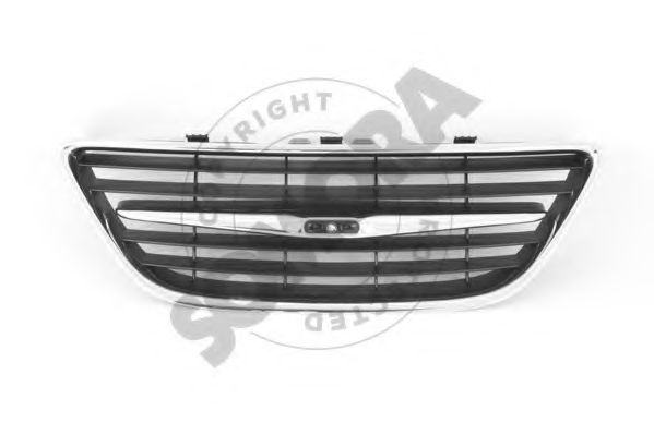 Grila radiator
