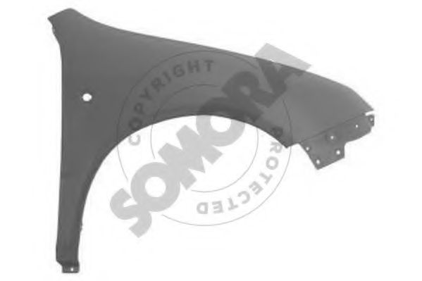 290301 Aripa SOMORA 