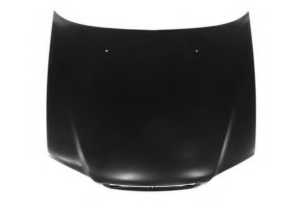 361208 Capota motor SOMORA 