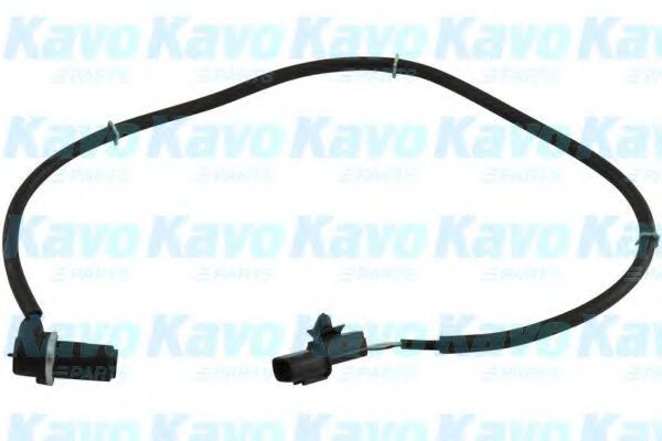 BAS-5513 senzor,turatie roata KAVO PARTS 