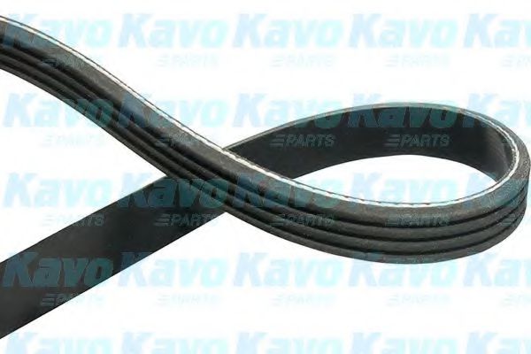 DMV-1511 Curea transmisie cu caneluri KAVO PARTS 