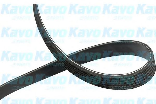 DMV-4517 Curea transmisie cu caneluri KAVO PARTS 