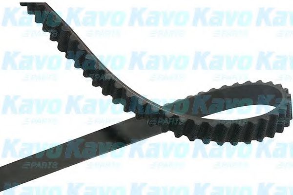 DTB-8523 Curea de distributie KAVO PARTS 