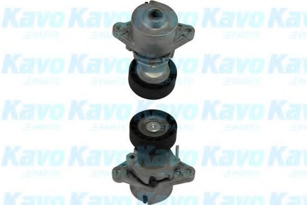 DTP-3017 rola intinzator,curea transmisie KAVO PARTS 