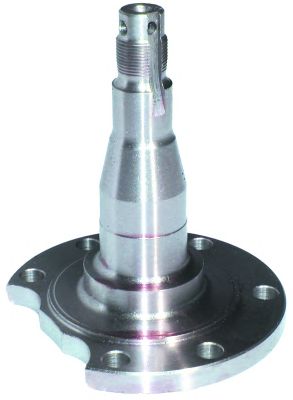 3381 Butuc roata BIRTH 