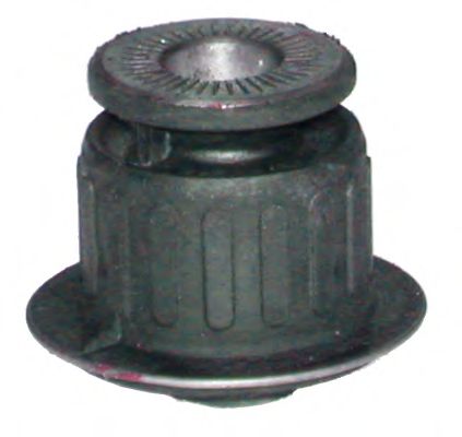 5629 suport, ax BIRTH 