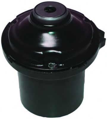 6058 Rulment sarcina amortizor BIRTH 