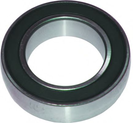 6188 Lagar intermediar, ax cardanic BIRTH 