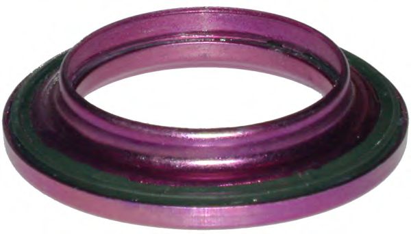 6260 Rulment sarcina amortizor BIRTH 