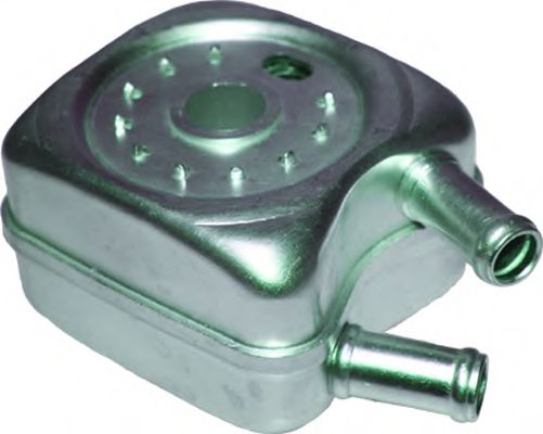8920 Radiator ulei, ulei motor BIRTH 