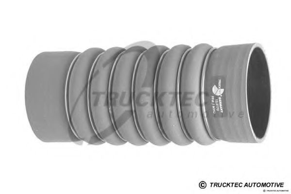 Furtun ear supraalimentare