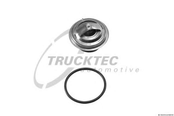 termostat,lichid racire